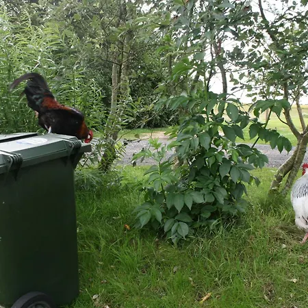 Sov Godt I Bed & Breakfast