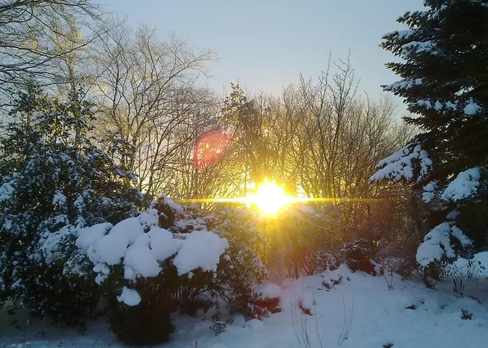 Sov Godt I Arnborg